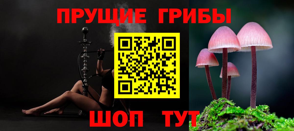 Гусиноозёрск  Псилоцибиновые грибы ЛСД  Вход с VPN 